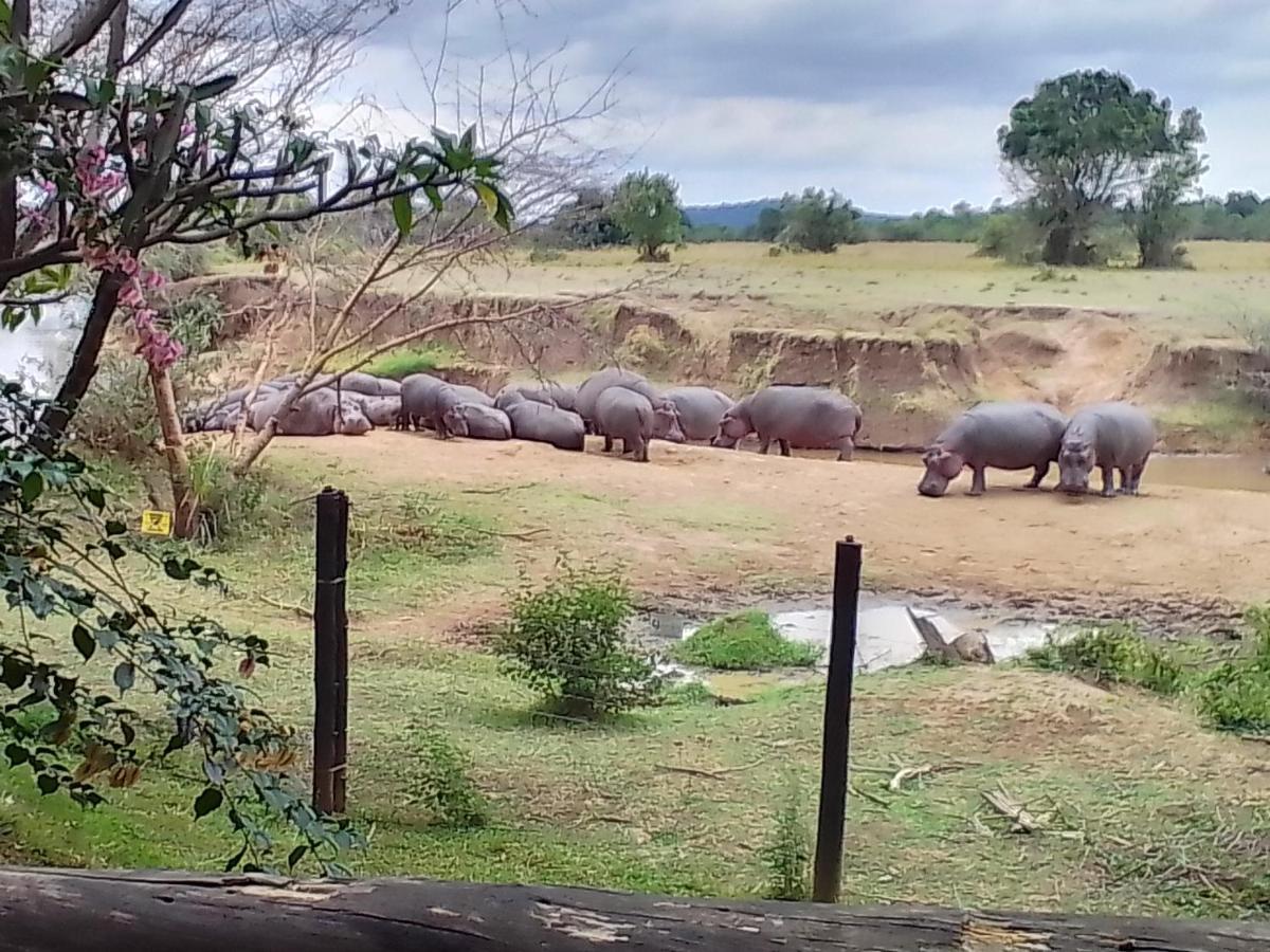 Mara River Lodge Aitong Екстериор снимка