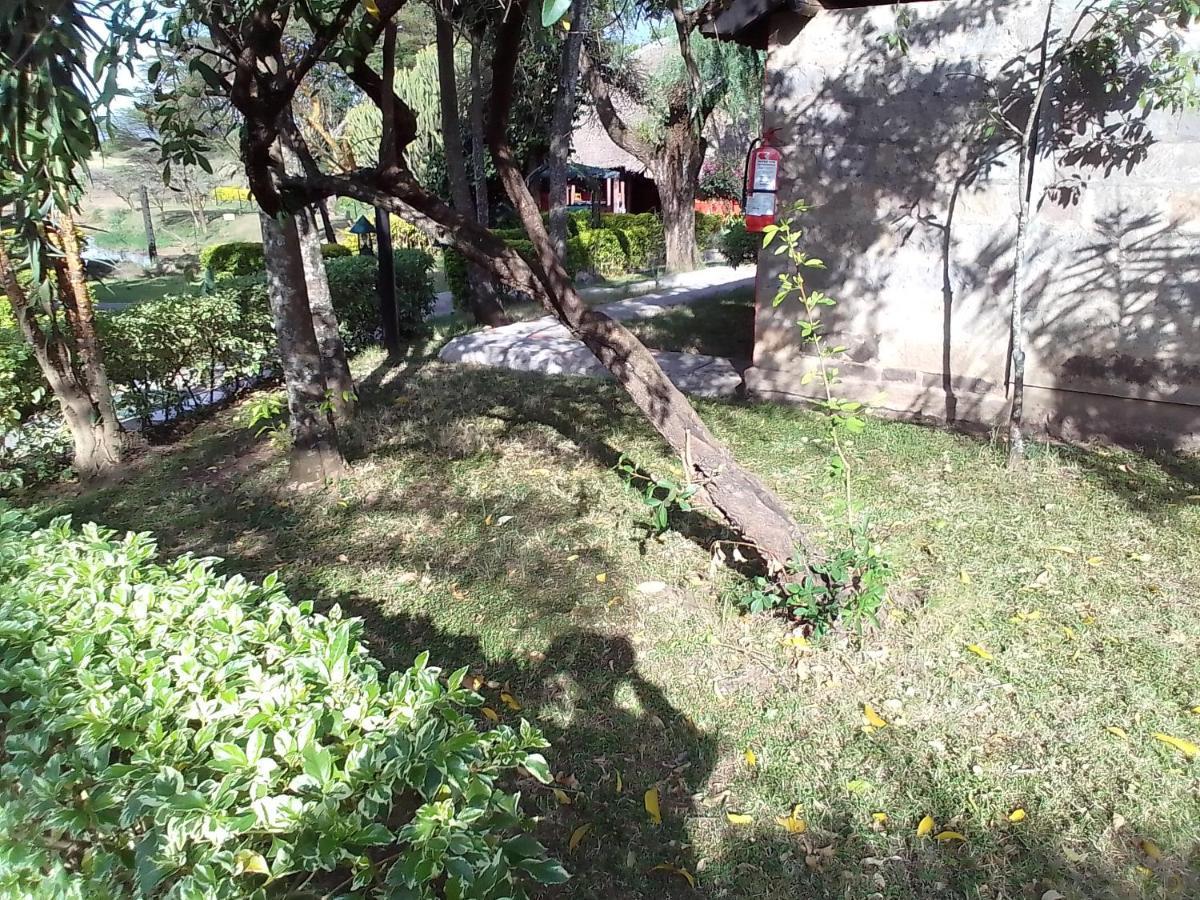Mara River Lodge Aitong Екстериор снимка